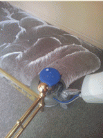 /album/fotogaleria-limpieza-de-alfombras-/anigif-gif2/